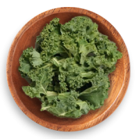 kale-hq-ts-wooden-trns kale-hq-ts-wooden-trns