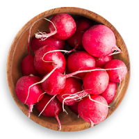 radish-hq-ts-wooden-trns radish-hq-ts-wooden-trns
